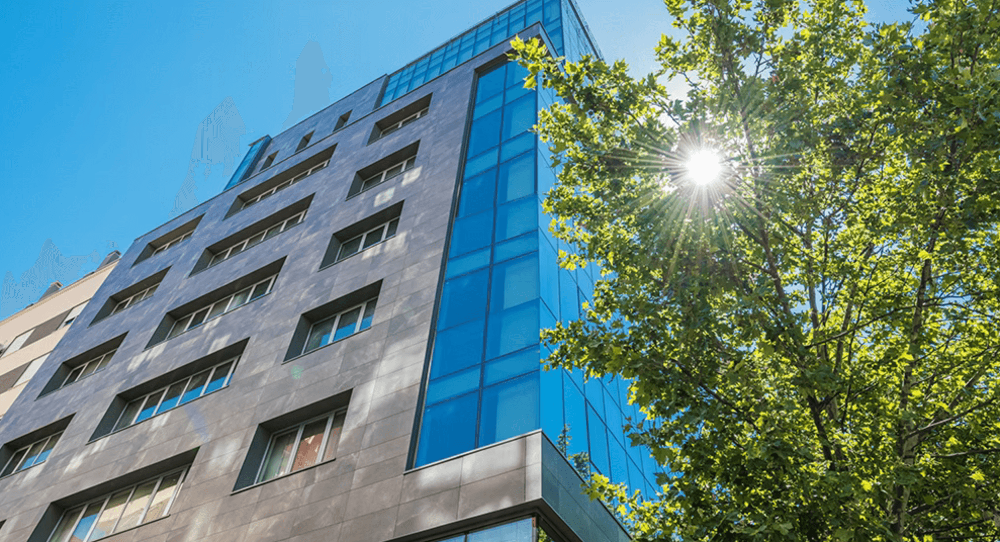 Modern grey building with blue glass panels beside a leafy tree under a bright sunburst.